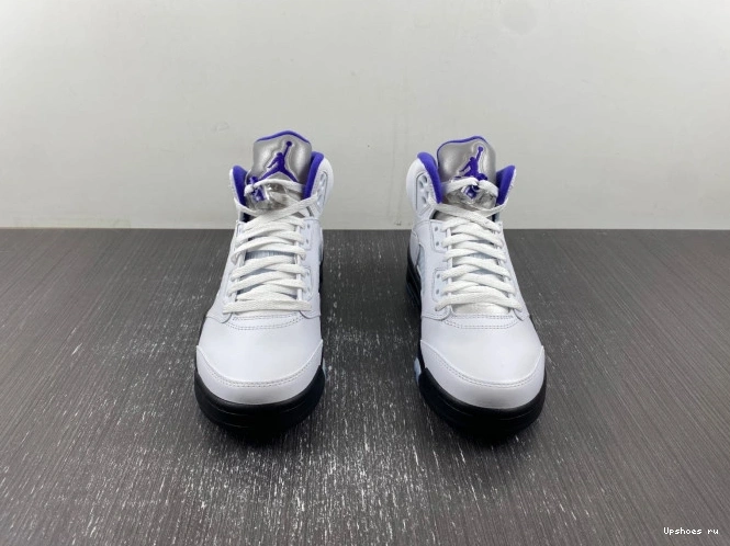 DD0587-141 Retro Jordan  Dark Concord 5 0512
